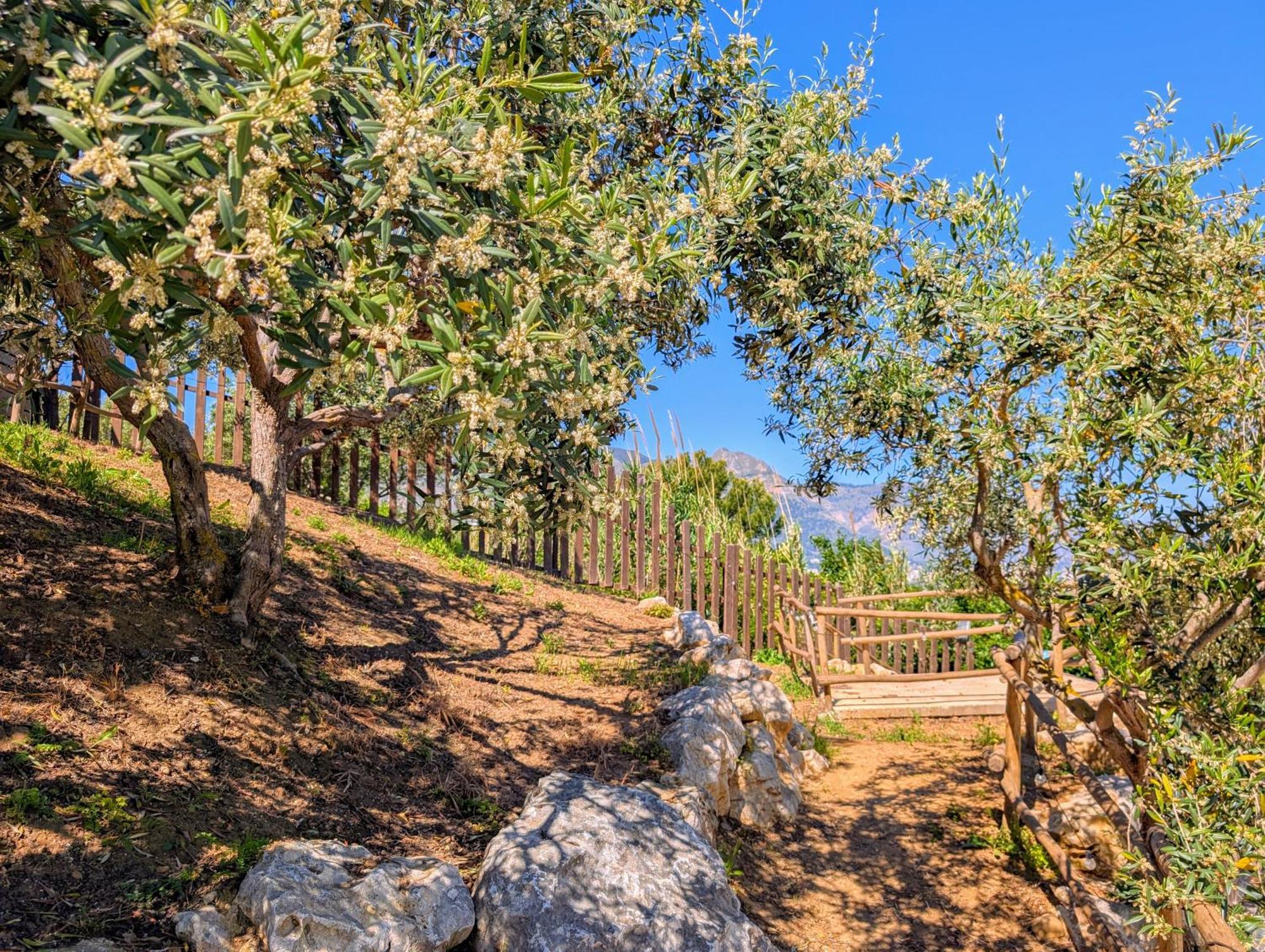 Ci Vulia B&B - Sicilia Sea, Pool, Bbq, Tv, Wi-Fi Alcamo Marina Kültér fotó